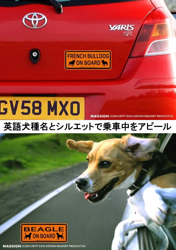 Amazon.co.jp: [MAGSIGN] ポメラニアン 乗車中 英語 バンパー